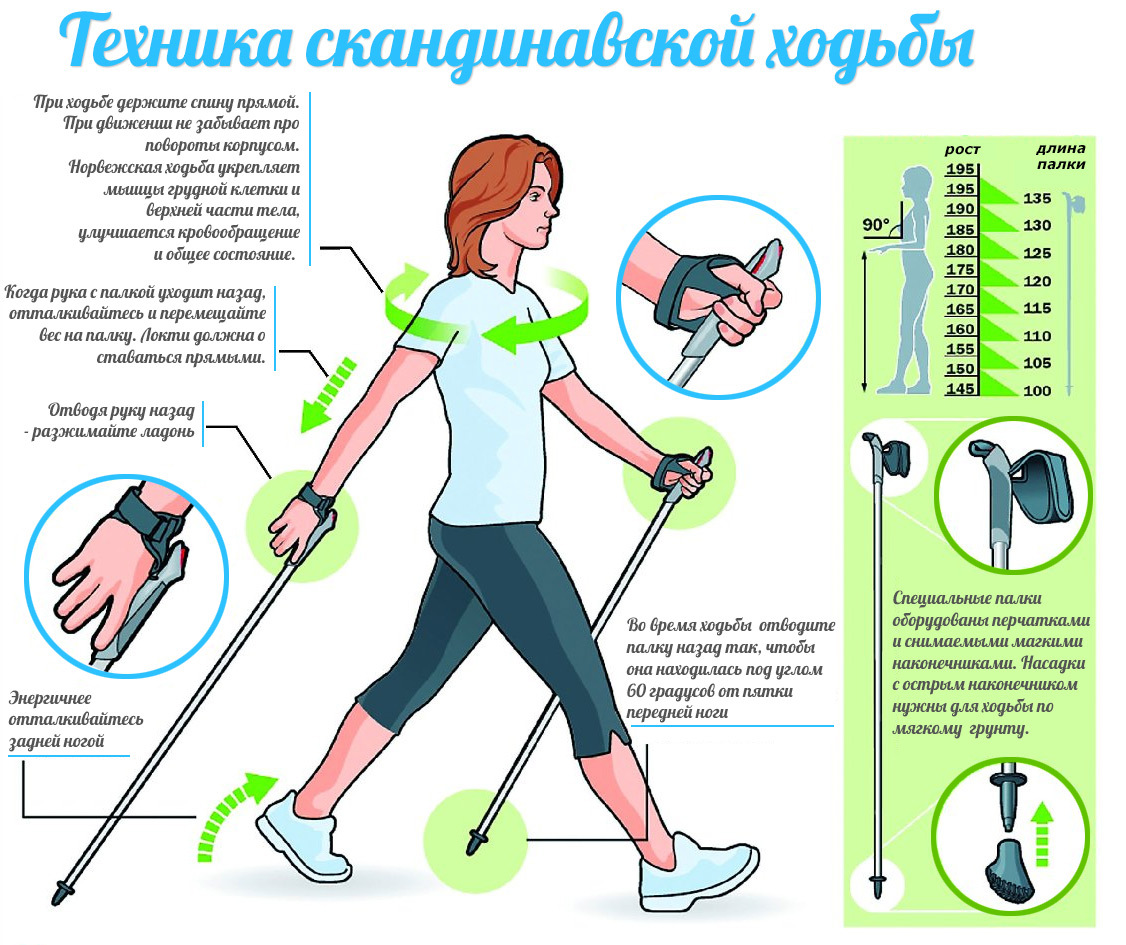 Самарская городская поликлиника №6 Промышленного района Новости -  Скандинавская ходьба- это отличное хобби для всей семьи.