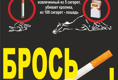 «Международный день отказа от курения»